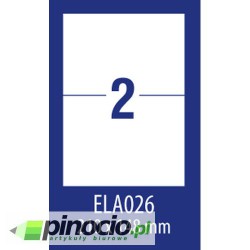 Etykiety economy Avery 210x148 mm 100 ark.