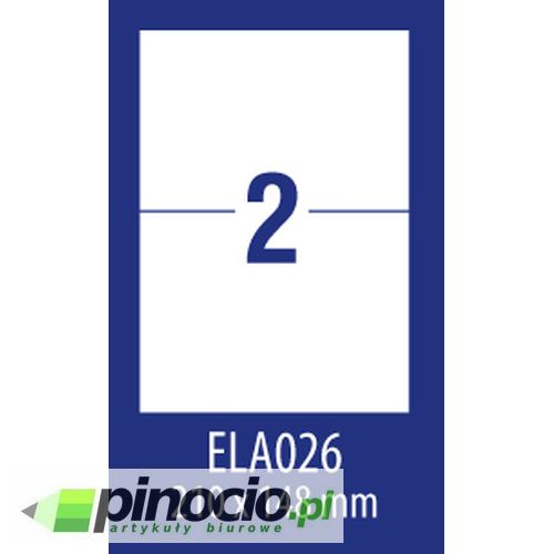 Etykiety economy Avery 210x148 mm 100 ark.