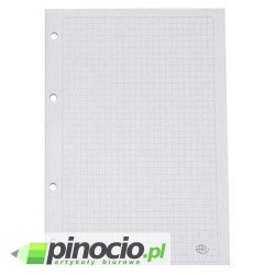 Wkład do segregatora Interdruk A4 w kratkę 100 kartek biały