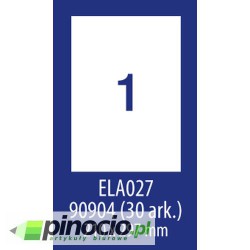 Etykiety economy Avery 210x297 mm 100 ark.