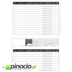 Karta ewidencyjna wyposażenia A5 MiP 346-3