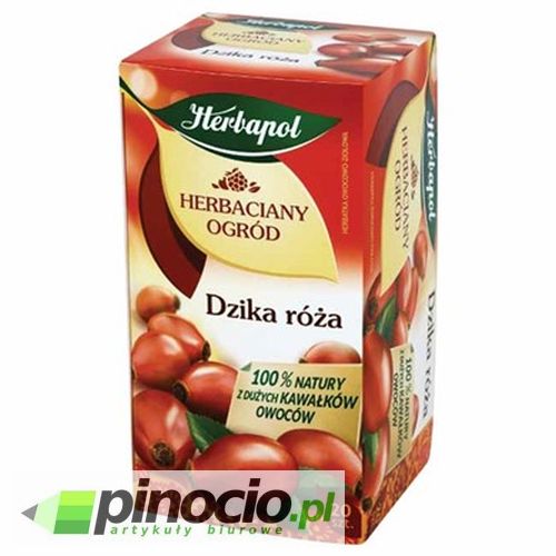 Herbata owocowa Herbapol dzika róża 20 szt.