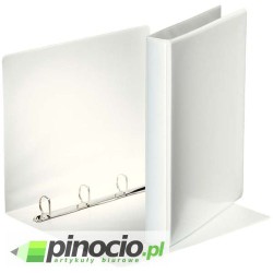 Segregator prezentacyjny Esselte A4/44mm biały