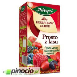 Herbata owocowa Herbapol prosto z lasu 20 szt.