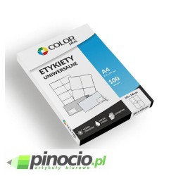 Etykiety economy Colorplus 105x148 mm 100 ark.