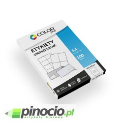 Etykiety economy Colorplus 210x297 mm 100 ark.