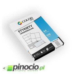 Etykiety economy Colorplus 38x21.2 mm 100 ark.