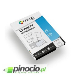 Etykiety economy Colorplus 210x148 mm 100 ark.