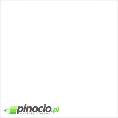 Brystol A1 biały rozmiar 594x841
