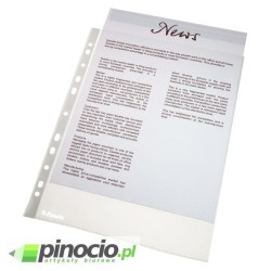 Koszulki groszkowe Esselte A4 46 mic.100 szt.(folia) 16690 Koszulki groszkowe Esselte A4 46 mic.100 szt.(folia) 16690