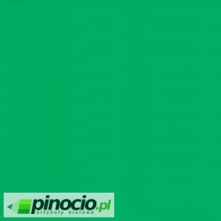 Brystol A1 zielony  rozmiar 594x841