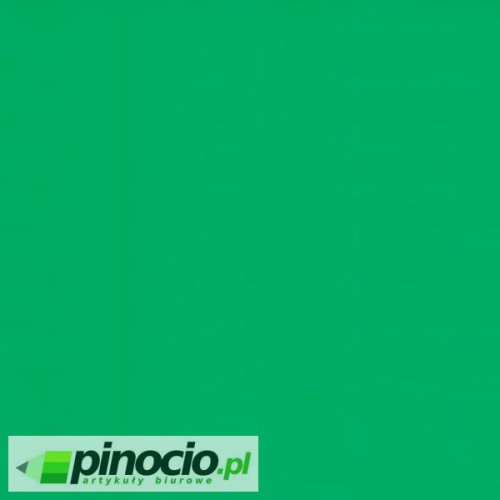 Brystol A1 zielony  rozmiar 594x841