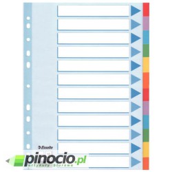 Przekładki kartonowe z kolorowymi indeksami Esselte A4 12 kart 100194