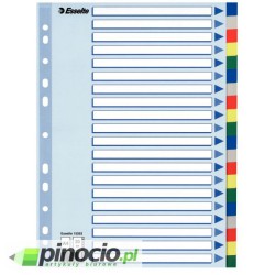 Przekładki plastikowe z kolorowymi indeksami Esselte A4 20 kart 15263