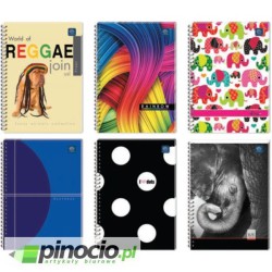 Kołonotatnik Interdruk B5 w kratkę 160 kartek