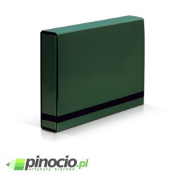 Teczka skrzydłowa z gumką Vaupe Caribic BOX A4 zielona