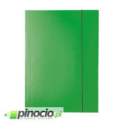 Teczka z gumką Esselte A4 lakierowana zielona 13437