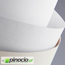 Karton ozdobny Floryda biały 20 szt. 220g.